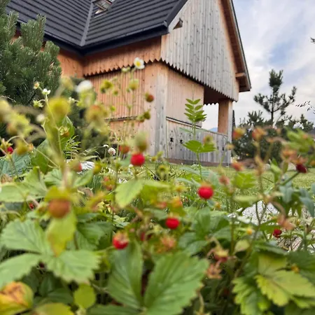 Sopa Zakopane