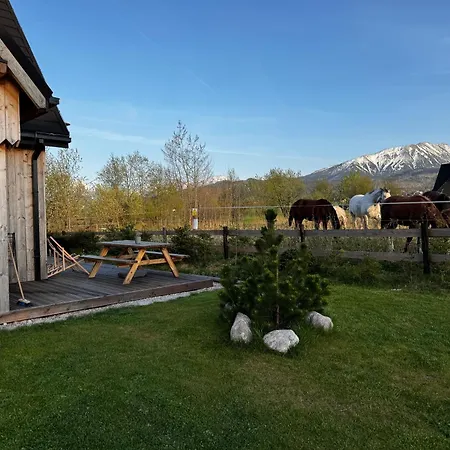 Sopa Villa Zakopane
